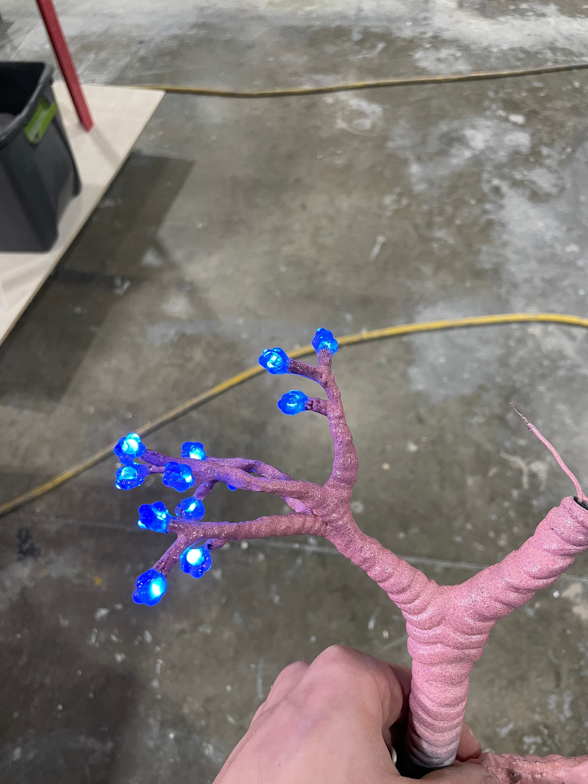 LEDs wired through every branch