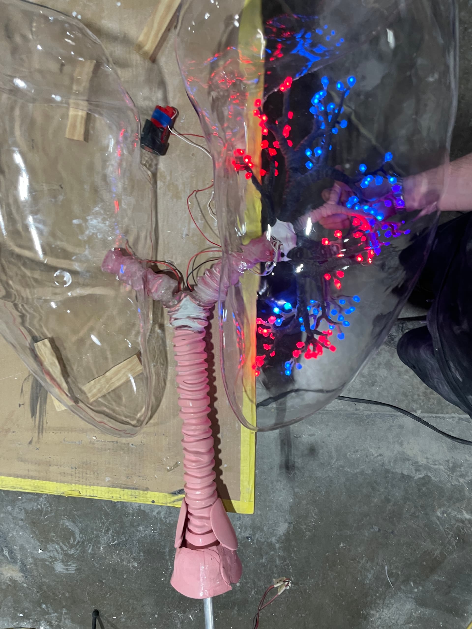 Assembly and wire management